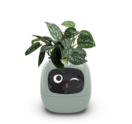 Robot Planter — Your Greenest Desk Companion