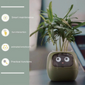 Robot Planter — Your Greenest Desk Companion
