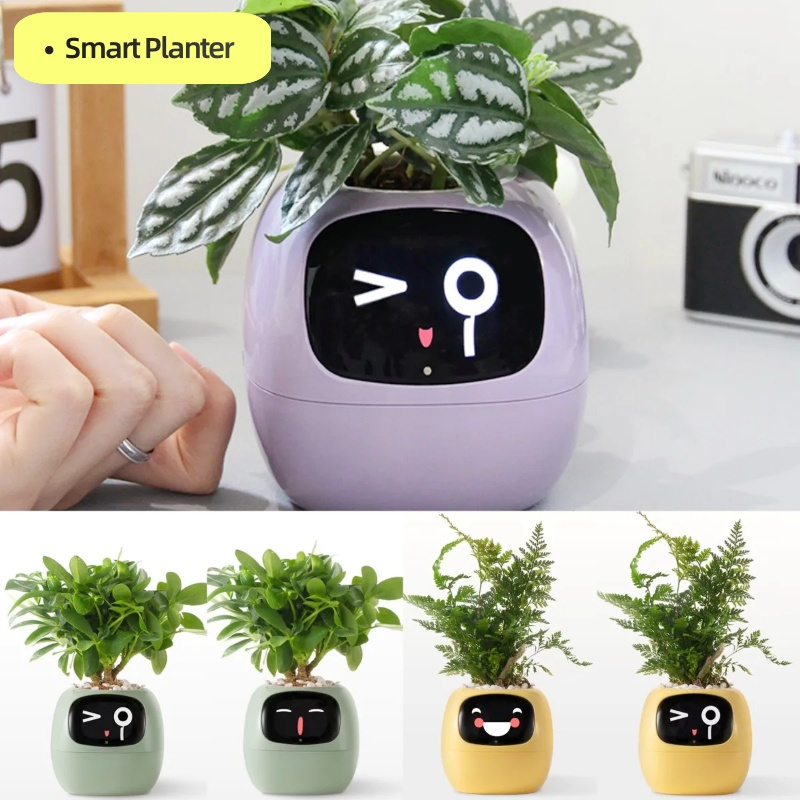 Robot Planter — Your Greenest Desk Companion
